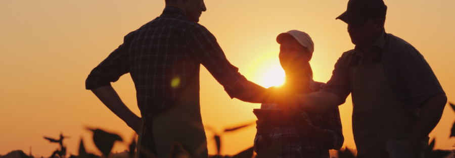 Antecipação de Recebíveis para o Agronegócio